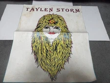 TAYLEN STORM   POSTER  with unreleased song lyrics  1980s HAIR METAL   NJ-NY