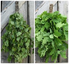 SEASON 2025 SET of 10 BIRCH  10 OAK SAUNA WHISK FREE SHIPPING venik broom