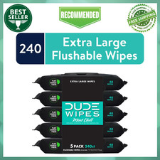 DUDE Wipes Flushable Wipes, XL Wet Wipes for At Home Use, Mint Chill, 240 Count