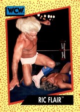 1991 Impel WCW #41 Ric Flair 