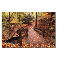Trademark Art Autumn Bridge Canvas Wall Art by Kurt Shaffer