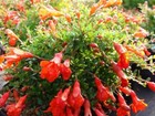 Foto 3 di 5