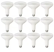 75-Watt Equivalent BR40 Dimmable LED Light Bulb Daylight (12-Pack)