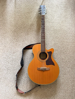 Tanglewood TW 145SC guitar in soft case