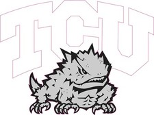 TCU Grey Inspired Full Size Football Helmet Decals
