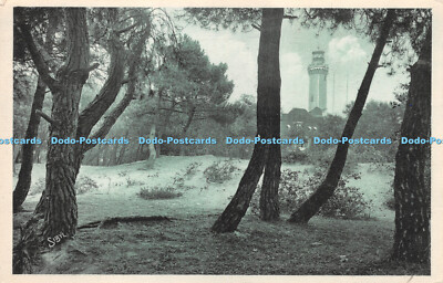 R280255 Le Touquet Paris Plage Sibylle No 15 Le Phare A Travers La Foret Tuck