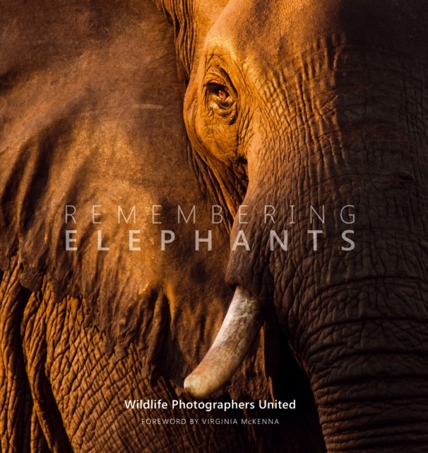 Remembering Elephants: 1 (Remembering Wildlife). Raggett 9781999643348 New** - Image 3