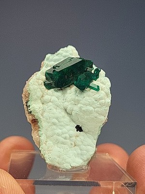 STUNNING Dioptase on Chrysocolla (miniature) Sanda Mine, DRC.