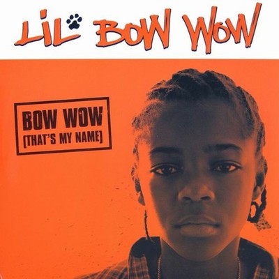 Lil' Bow Wow - Bow Wow That's My Name - Used Vinyl Record 12 - G5628z