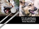 Bild 6 von 9