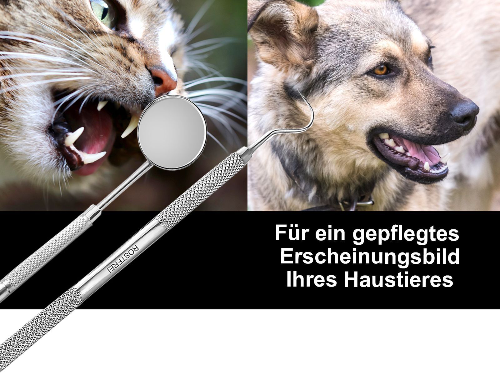 Bild 6 von 9