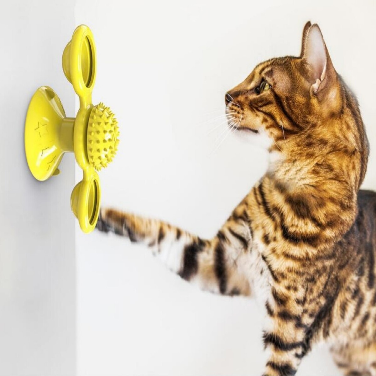 Interactive Cat Toys For Indoor Cats EASYNICE Windill Cat Toy Spinning Cat  Wall
