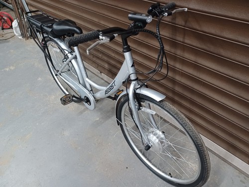 Hybrid Electric Bike 