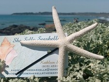 Starfish Sea Shell Beach Hair Pins