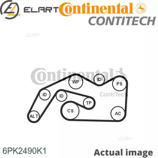 V RIBBED BELT SET FOR AUDI A6 4F2 C6 BPP CANB BSG ASB BMK CAND CONTINENTAL CTAM