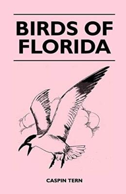 Birds of Florida by Caspin Tern (Paperback, 2010)