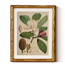 Gold Framed Canvas Wall Art, Nature Magnolia Botanical Paintings, Antique Vin...