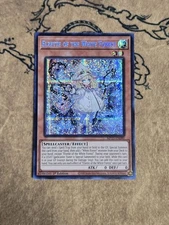 Yugioh Elzette of the White Forest MP25-EN080 1st Ed Prismatic Secret Rare NM 