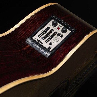 Fishman Aura Pro Guitar Preamp / EQ w/ Matrix Undersaddle Pickup