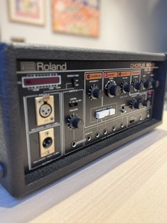 Roland RE 501 Chorus Echo Vintage Analogue Tape Delay Reverb