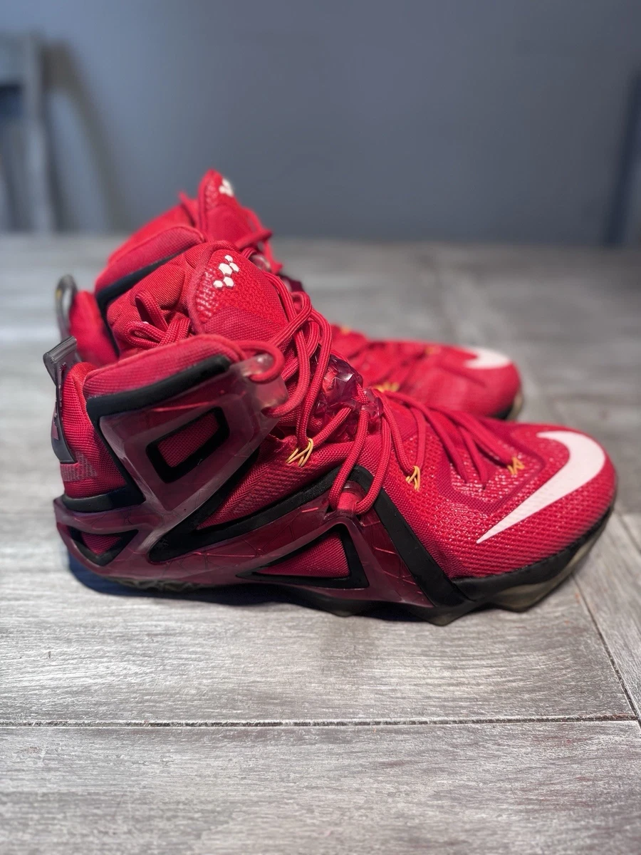 新品未使用Nike LeBron XII ELITE 12 31cm Nike LeBron 12 Elite Rose Gold for Sale | Authenticity Guaranteed