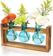 Propagation Station with Wooden Stand, 3 Bulb Glass Vase Plant Terrarium for Hyd
