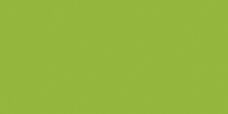 Coats All-purpose Plastic Zipper 14"-kiwi F72 14-359