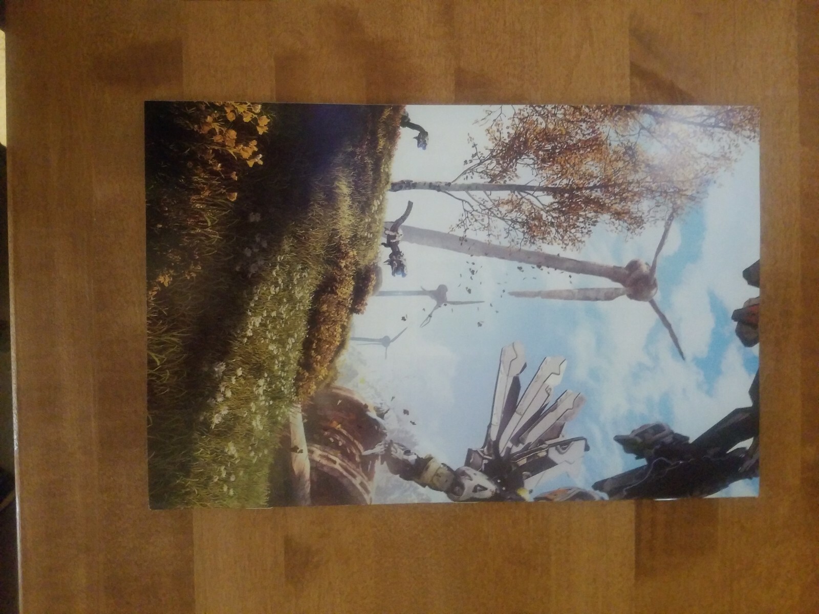 Picture 6 of 8