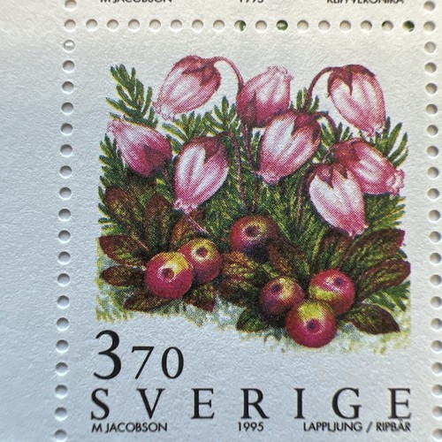 1995 FJÄLLBLOMMOR - MOUNTAIN FLOWERS Swedish Complete Booklet of Stamps - Picture 4 of 6