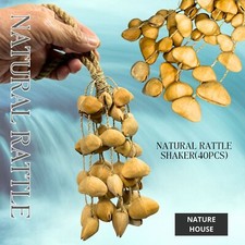   Natural Seed Pod Shaker  Oleander Seed Pods Ethnic Instrument Perfect for Sound