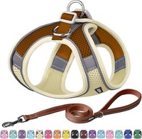 Hundegeschirr Und Leine Set No Pull Beige M FüR Hunde Schritt-In Design 1 StüCk