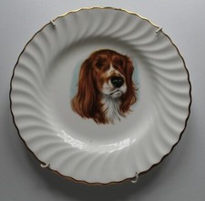 Vintage Springer Spaniel Collector Plate, 20cm - DOG