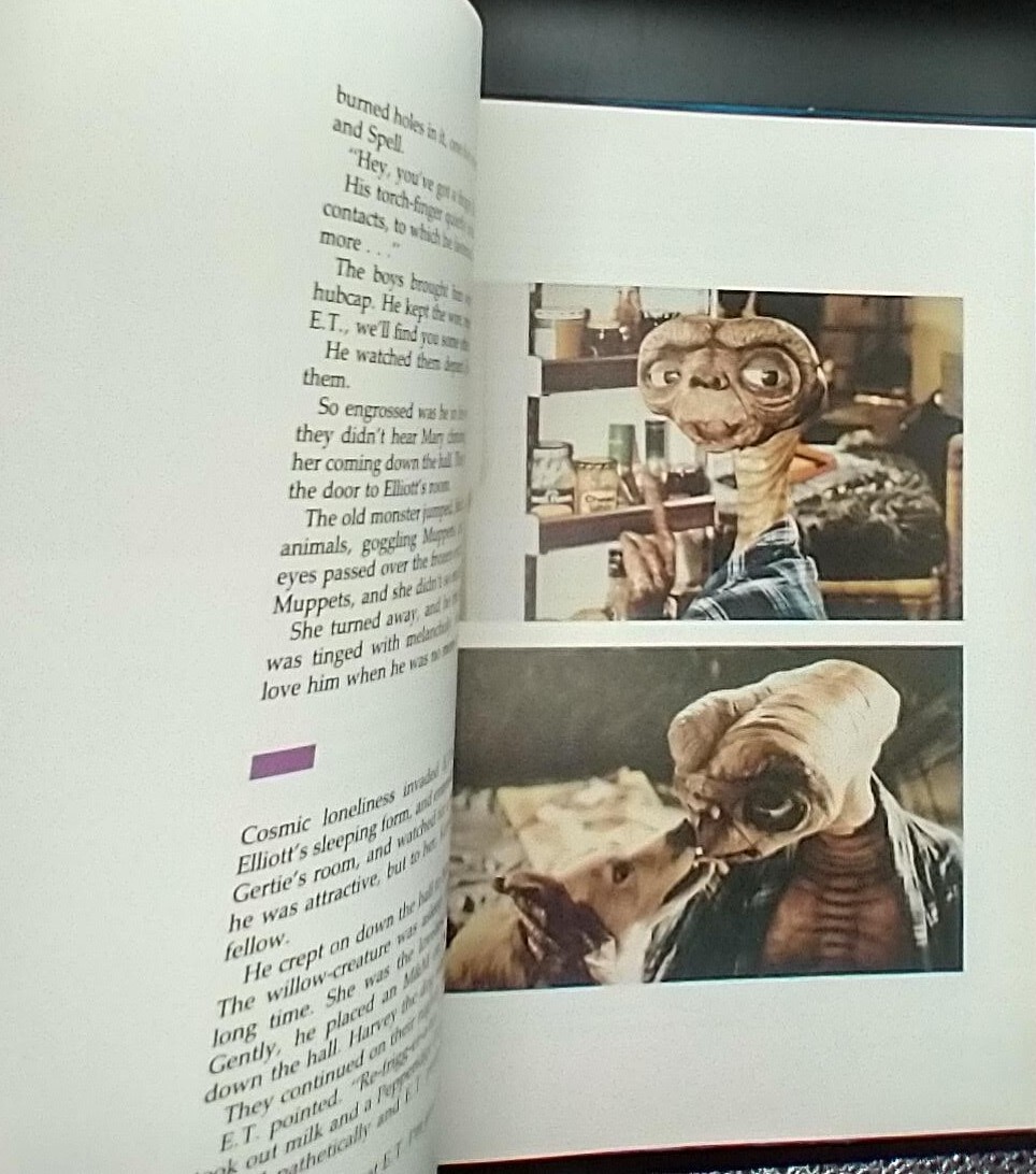 Picture 4 of 9