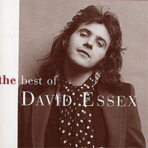 Альбом David Essex The Best of David Essex (CD)