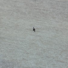 21/0 Hamilton 2927 Balance Staff Pivot .08