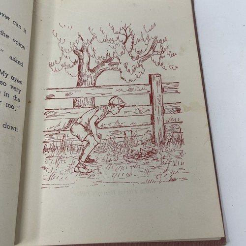 Through the Window Fritz Emilie Toepperwein 1949 HC 1st Edition Illustrated - Picture 10 of 15