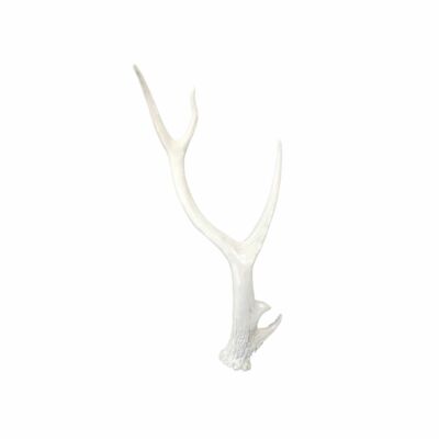 Hirschgeweih ca. 27 x 10 x 67 cm Weiß Glänzend Geweih Wildgeweih Wand Dekoration