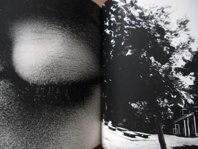 Shinjuku Daido Moriyama Poster ED300 Signed by the Artist with