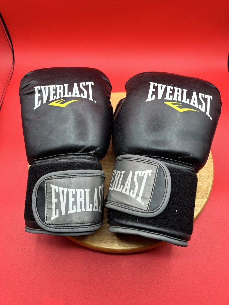 Mma Gloves Pro Boxing Glove Weight EVERLAST Professional Boxing