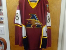 Atlanta Thrashers #18 Marian Hossa Concept 3rd  Alternate