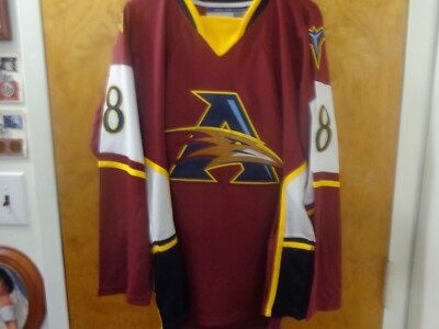 Atlanta Thrashers #18 Marian Hossa Concept 3rd Alternate