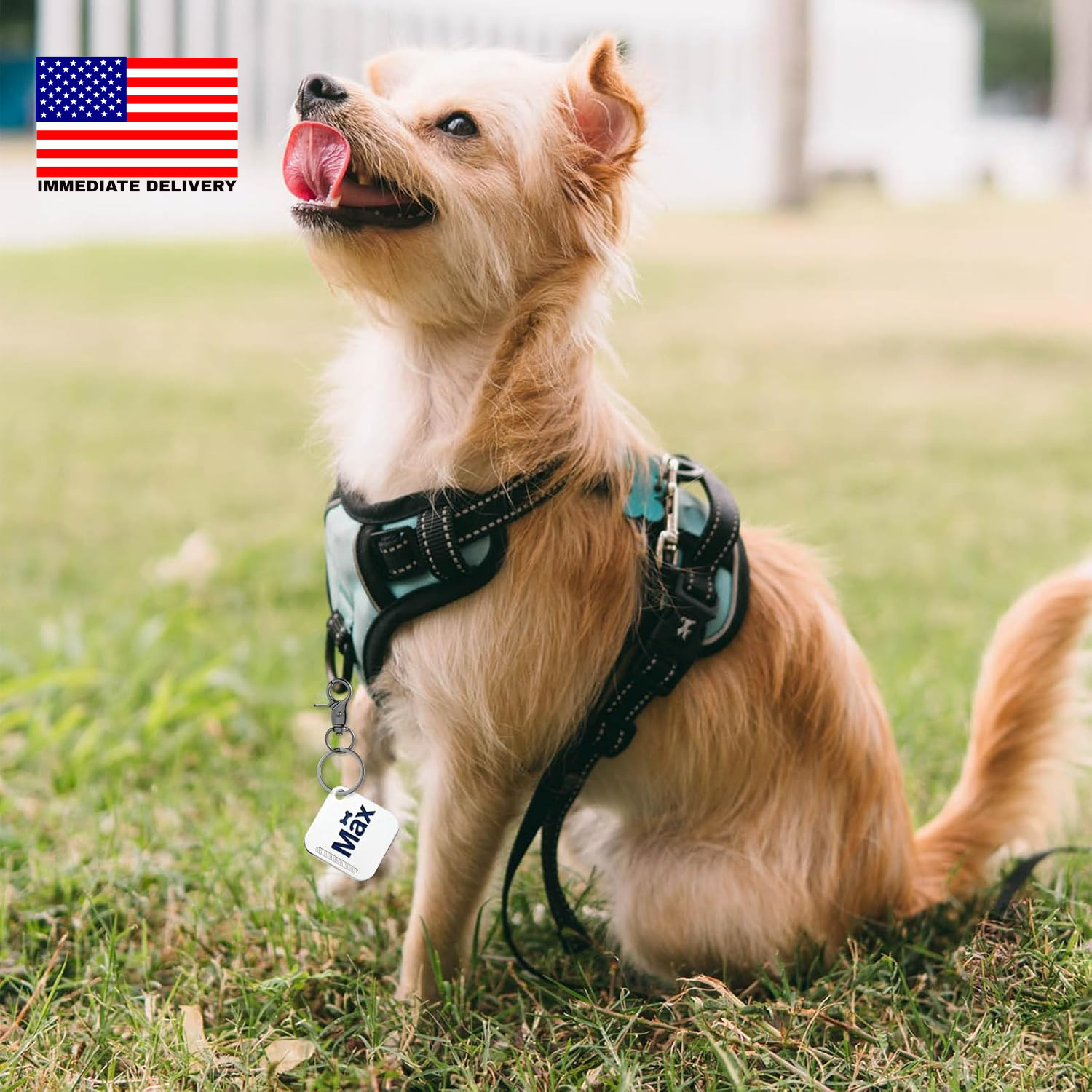 4 Pcs Dog Tag Clip for Collar, Pet ID Name Dog Tag Clip, Buckle Quick Clips with