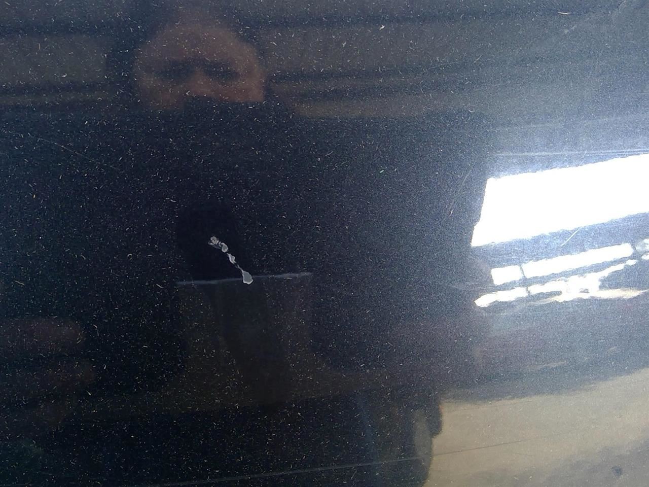 Picture 1