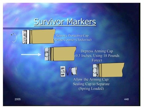 CD de presentación de entrenamiento PowerPoint para nadador de rescate azul marino de 995 páginas  - Imagen 6 de 9