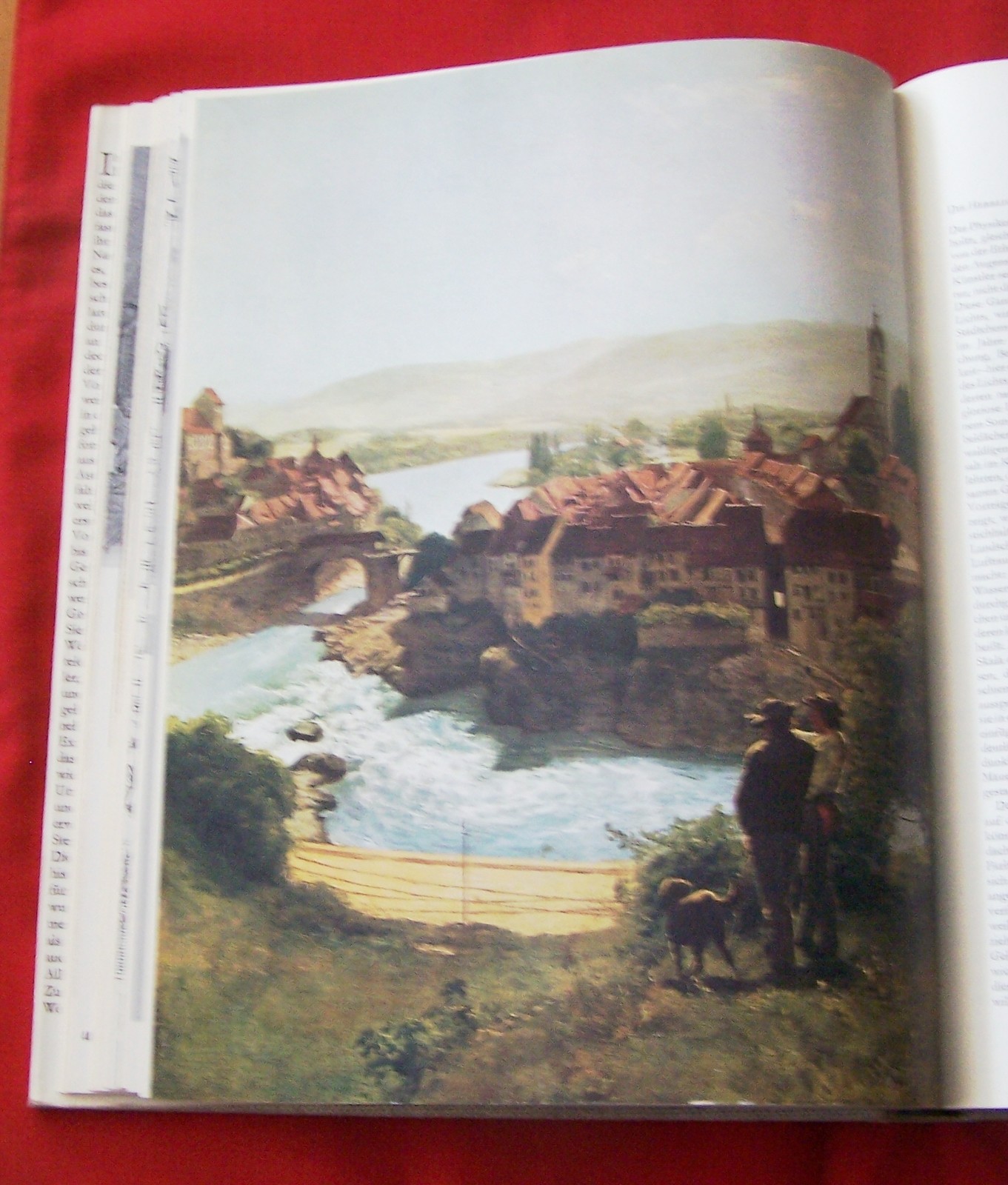 Bild 7 von 12