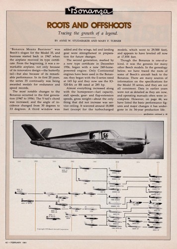 Beechcraft Bonanza Aircraft Report 8/4/2024a - 第 1/1 張圖片