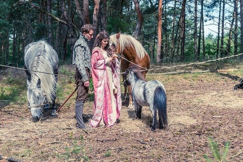 Sechs auf einen Streich - Prinz Himmelblau und Fee Lupine - EuroVideo Medien - - Bild 3 von 3