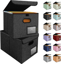 File Organizer Box with Lid, Collapsible File Folder Organizer with Plastic Slid
