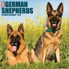 German Shepherds 2026 12" x 12" Wall Calendar (free shipping)