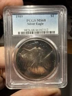 1989 American Silver Eagle MS68 PCGS Beautiful Blue/Purple Tone